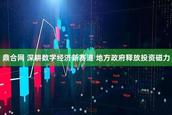 鼎合网 深耕数字经济新赛道 地方政府释放投资磁力